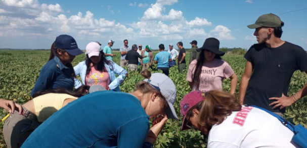 Viaje de estudio de estudiantes del curso Oleaginosas y Cultivos Regionales