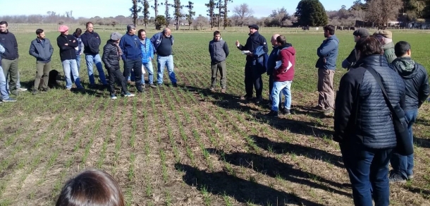 Jornada sobre control de malezas en la Chacra Experimental Manantiales Chascomús 