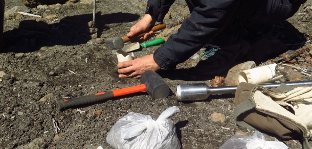 Se realizó el inventario de carbono en suelos forestales en bosques nativos del norte de la provincia de Neuquén.