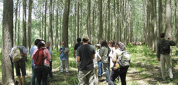 INGENIERÍA FORESTAL