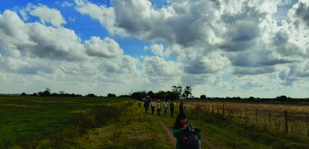 Recuperación de prácticas de campo para nuestros estudiantes 