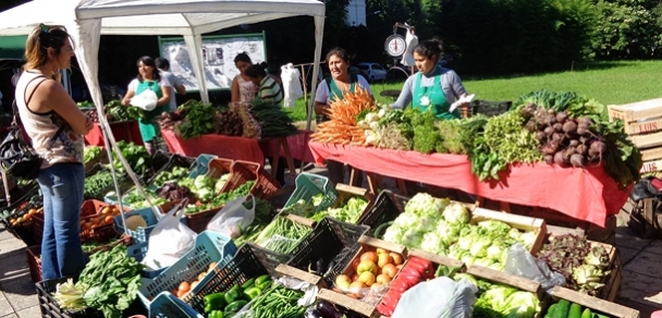 Comenzó la Feria Manos de la Tierra	