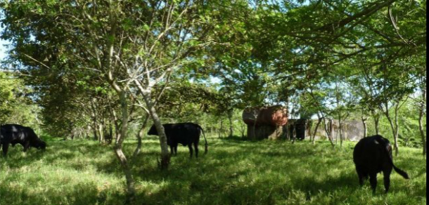 Se encuentra abierta la inscripción en la Maestría en Economía Agroalimentaria