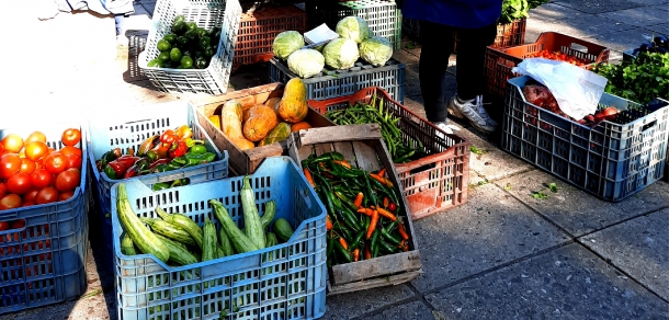 Un giro hacia la producción agroecológica en el cordón productivo del gran La Plata