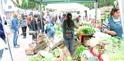 Aniversario de la Feria Manos de la Tierra