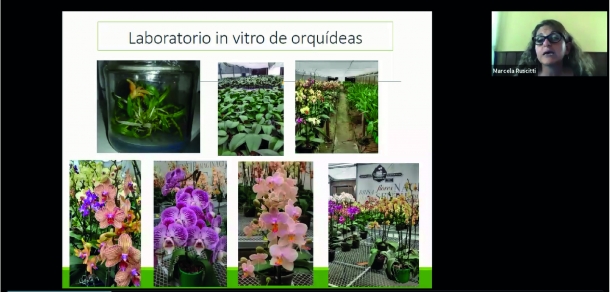 El Taller de Capacitación en Técnicas de Propagación Vegetal destinó los fondos del curso del año pasado a la Fundación José Tau