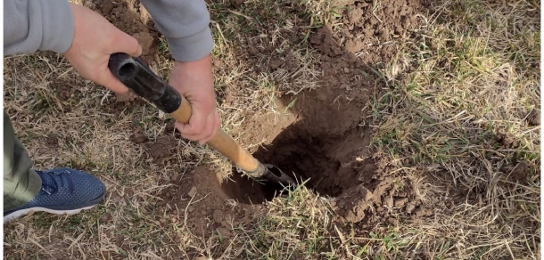 Jornada de sistematización de experiencias agroecológicas en San Vicente