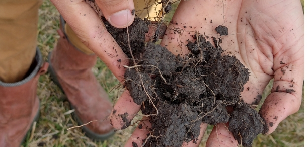 Encuentro: Ganadería Agroecológica en San Vicente. Establecimiento “El Redoble” en San Vicente