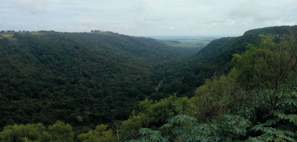 Visita a la UNESP en Brasil