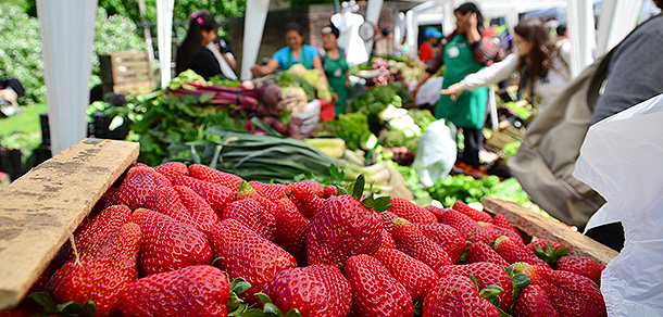 V Jornadas de La Agricultura Familiar