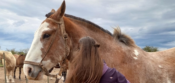 Finalizó el Curso de Bienestar Animal