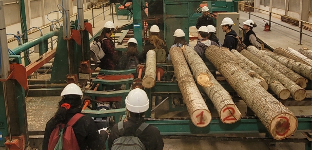 Actividad práctica en el Centro Tecnológico de la Madera