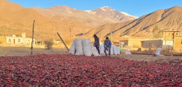 Pasantía en los valles Calchaquíes, Salta