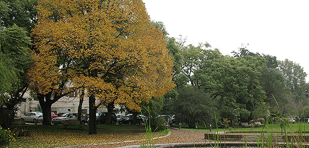 El mes de la Memoria en la Facultad de Cs. Agrarias y Forestales