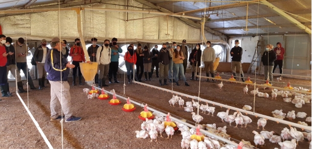 Visita al Establecimento Avícola Integrado “Los Tanitos” 