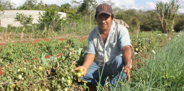 Se encuentra abierta la inscripción en la Maestría en Economía Agroalimentaria