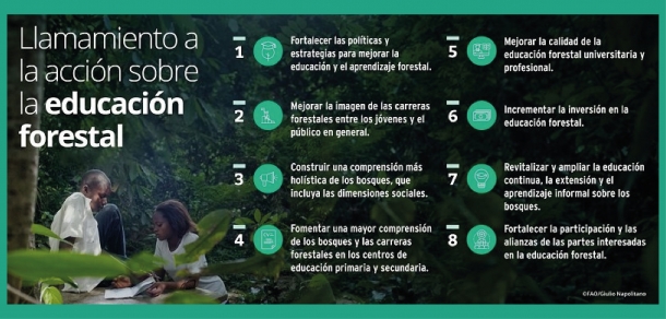 Conferencia Internacional sobre Educación Forestal - Llamamiento a la Acción 