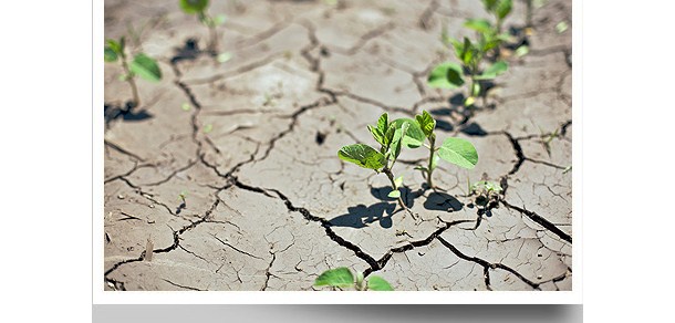 La importancia de la conservación y el buen manejo de los suelos en la Argentina.