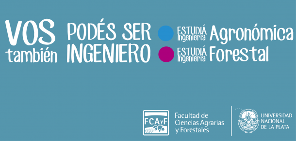 Querés saber qué hacen los Ingenieros Agrónomos y Forestales