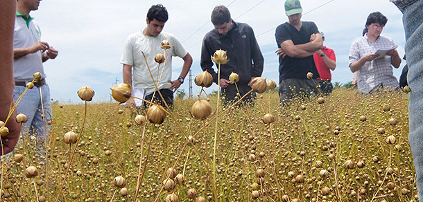 Ingeniería Agronómica | Facultad De Ciencias Agrarias Y Forestales