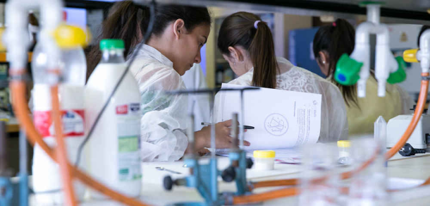 Subsidios 2024 para Jóvenes Investigadores UNLP