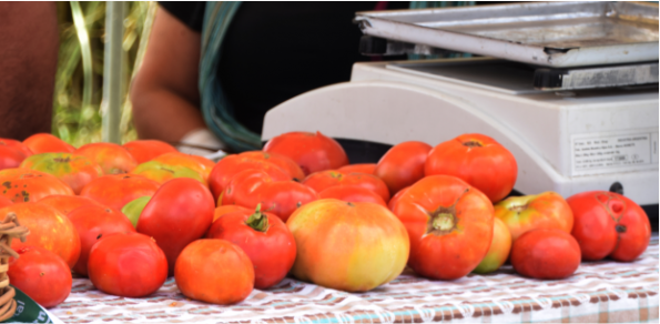 Festejamos a nuestro histórico Tomate Platense.