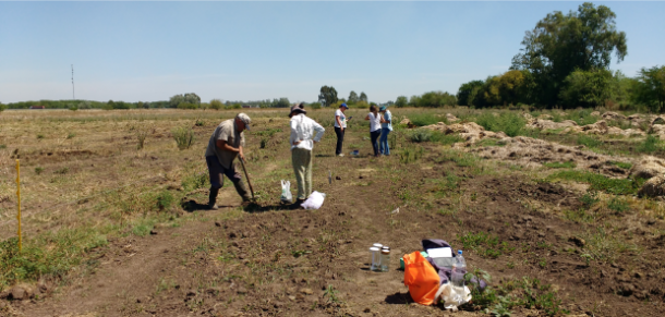 Desarrollo y difusión de estrategias de base agroecológica