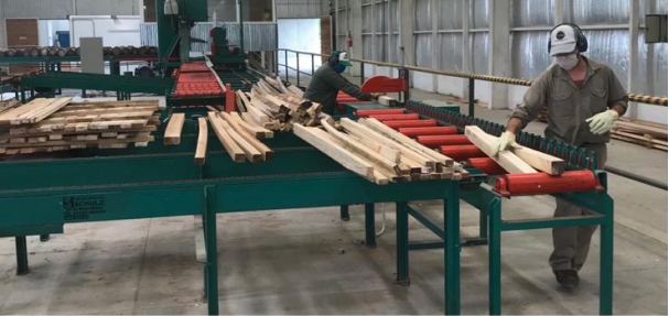 EL CENTRO DE LA MADERA DE LA FACULTAD ESTA FABRICANDO CAMAS PARA AYUDAR A NUESTRA COMUNIDAD  