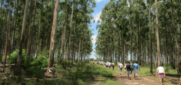 Viaje integrador de 5to año