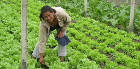 Día Internacional de las Mujeres Rurales