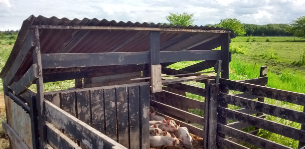 CATÁLOGO DE TECNOLOGÍAS APROPIADAS DE PRODUCTORES GANADEROS FAMILIARES DE LA CUENCA DE ABASTO SUR