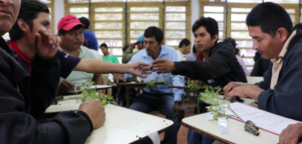 Hacia la producción sustentable de hortalizas bajo invernadero