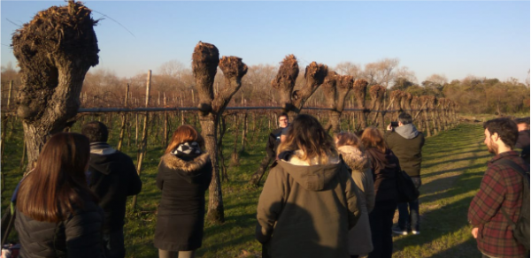 16° Fiesta del Vino de la Costa de Berisso