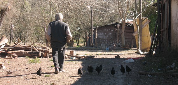 V CONGRESO LATINOAMERICANO DE AGROECOLOGÍA