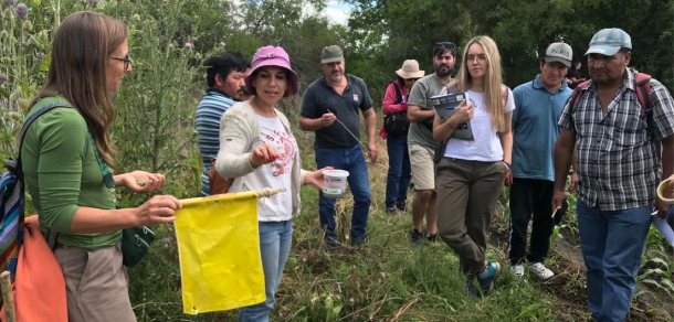 Taller: La importancia de la biodiversidad en quintas hortícolas agroecológicas: Aportes a los sistemas participativos de garantías