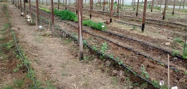 VISITAS PARA ESTABLECIMIENTOS EDUCATIVOS