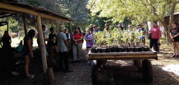 Actividades en el marco del TAU