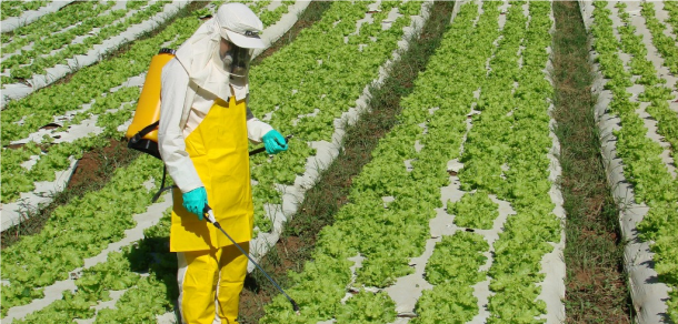 Presentación del Informe sobre uso de agroquímicos en la provincia de Buenos Aires