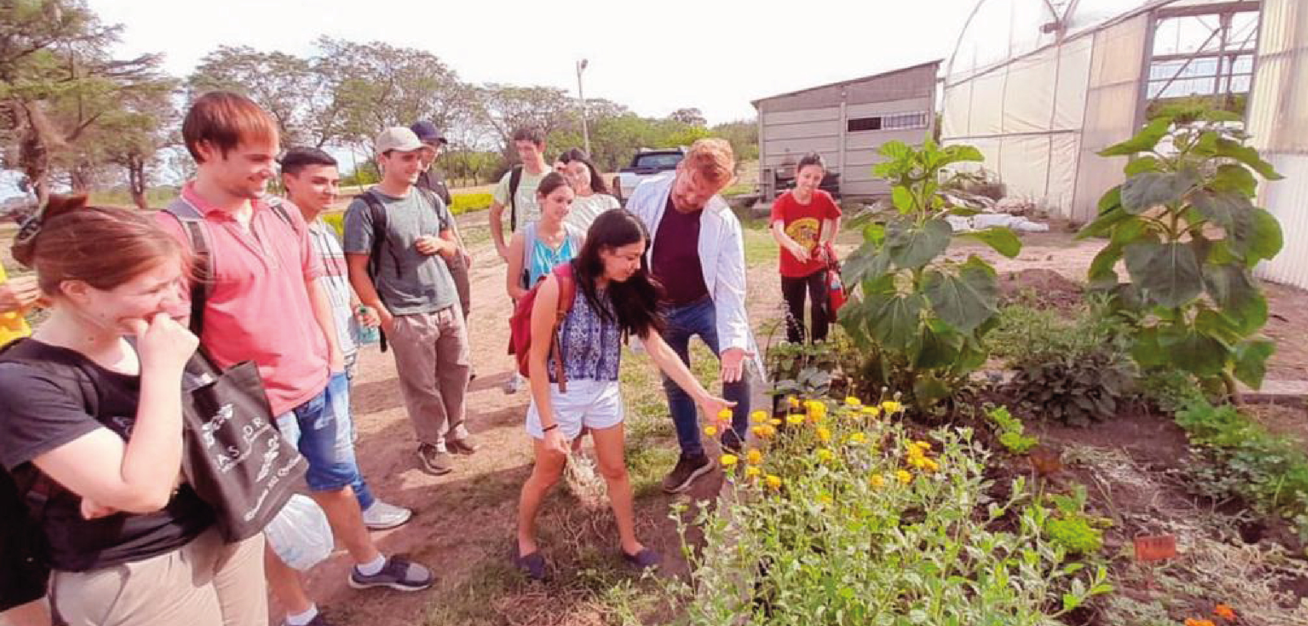 TECNICATURA UNIVERSITARIA EN CULTIVOS PROTEGIDOS Y AMBIENTES CONTROLADOS