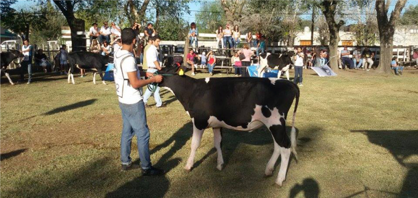 La Facultad participó en la 