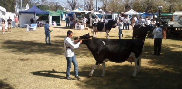 La Facultad participó en la 