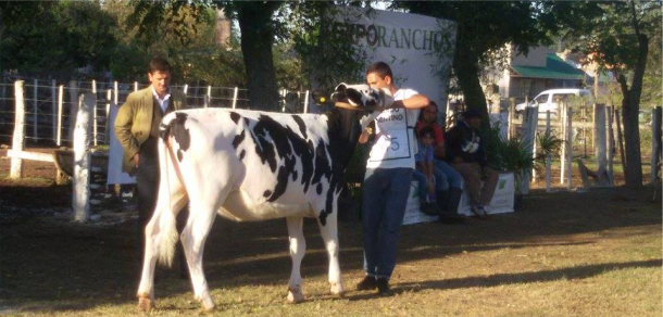 La Facultad participó en la 