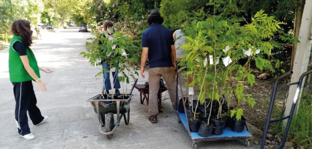 La Unidad de Vivero Forestal de nuestra Facultad participa de la campaña “Plantemos Memoria” en el marco de los 45 años del Golpe Cívico-Militar