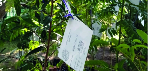 La Unidad de Vivero Forestal de nuestra Facultad participa de la campaña “Plantemos Memoria” en el marco de los 45 años del Golpe Cívico-Militar