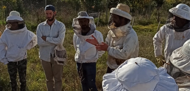 Taller: Intercambio de Experiencias de “Apicultura agroecológica”: Casos de Argentina y Chile