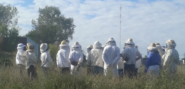 Taller: Intercambio de Experiencias de “Apicultura agroecológica”: Casos de Argentina y Chile