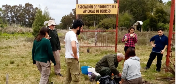 Forestación en el predio de la Asociación de Productores Apícolas de Berisso 