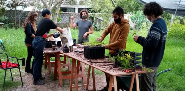UNIDAD VIVERO FORESTAL