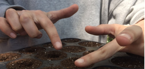 Taller de Capacitacion en tratamientos pre-germinativos y siembra de especies forestales