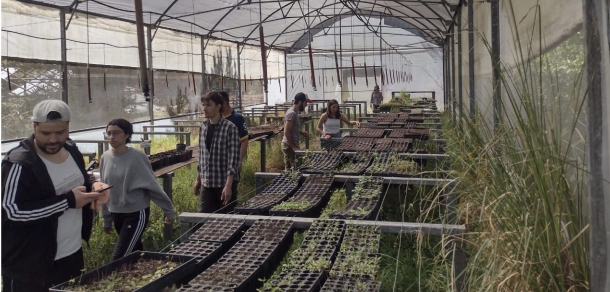 Taller de Capacitacion en tratamientos pre-germinativos y siembra de especies forestales